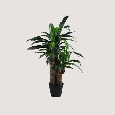 80cm Artificial Double Stem Yucca SO'HOME