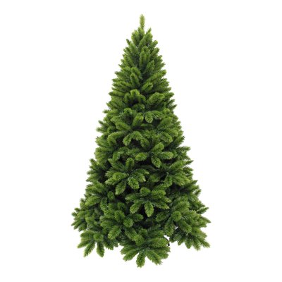Sapin de Noël H215 cm TSUGA TRIUMPH TREE