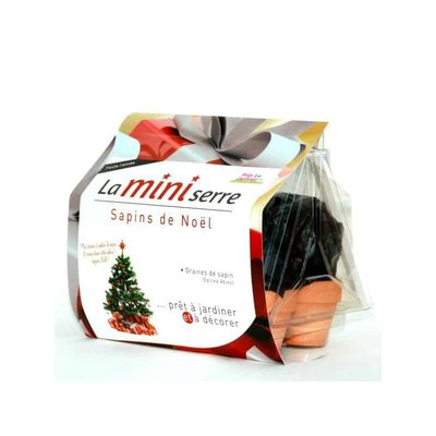 Mini serre 6 pots sapins de Noël PRET A JARDINER
