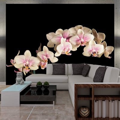 Papier peint intissé panoramique Fleurs Orchidée en fleurs EDEN