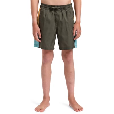 Short de bain EVERYDAY HOLMES 14" QUIKSILVER