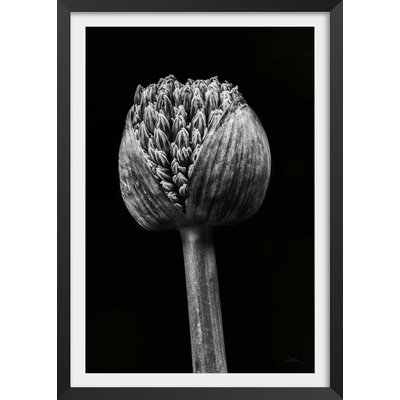 Poster tropical spring palm HEXOA
