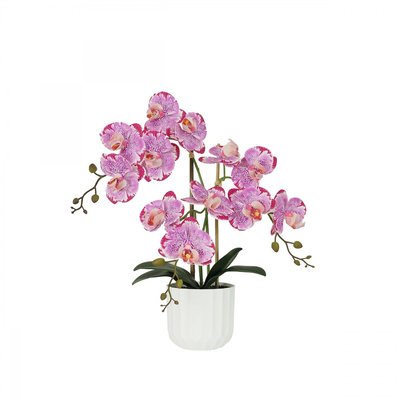 Orchidée artificielle fuchsia mouchetée 50cm LIGNE DECO