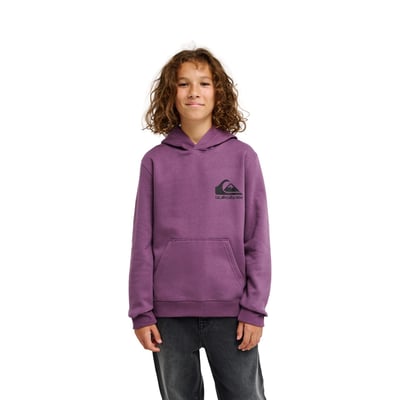 Sweat à capuche OMNI LOGO QUIKSILVER