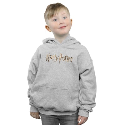 Sweat à capuche HARRY POTTER