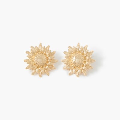 CAPSULE SUNFLOWER BALABOOSTE