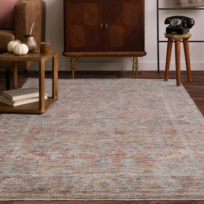 Softly Faded Antique Look Rug SO'HOME
