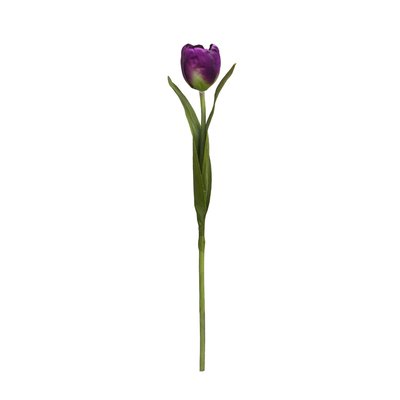 Tige de tulipe artificielle H37 SIA DECO