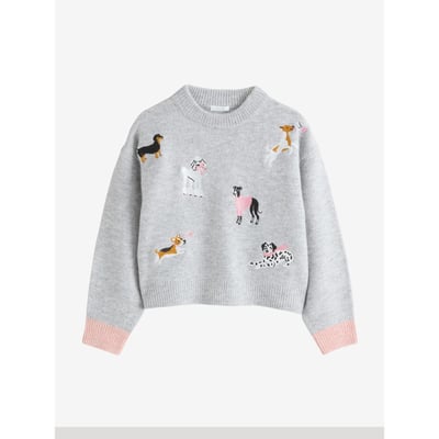 Pull en tricot NEXT