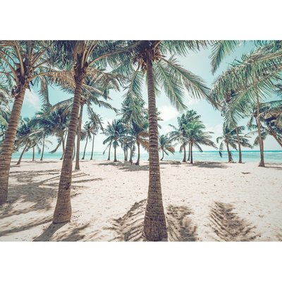 Tableau Mural Palmier PLAGE CEANOTHE