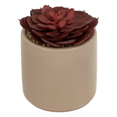 Plante grasse artificielle Nils pot céramique H12cm ATMOSPHERA