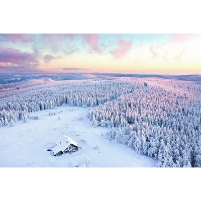 Tableau Mural Paradis Sauvage HIVERNAL CEANOTHE