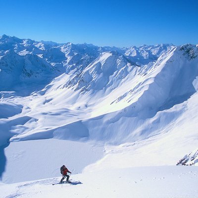 Tableau Mural Free Ride One MONTAGNE CEANOTHE