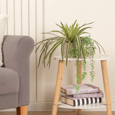 Set of 2 Plants in Beige Rustic Ribbed Ceramic Pots SO'HOME