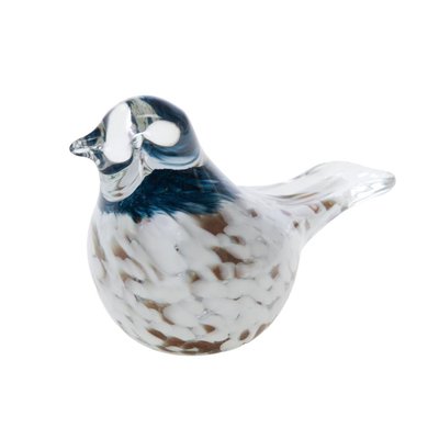 Oiseau Joel sulfure blanc et bleu AMADEUS