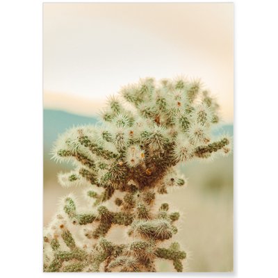Affiche Nature Desert 2 L'AFFICHERIE