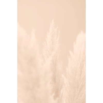 Tableau scandi fleurs de roseaux HEXOA