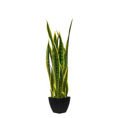 Planta artificial "Snake" 89cm, BORGHESI BORGHESI
