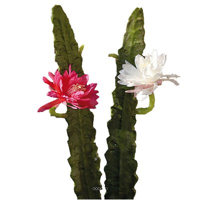 Joli cactus cierge artificiel en piquet H 52 ARTIFICIELLES