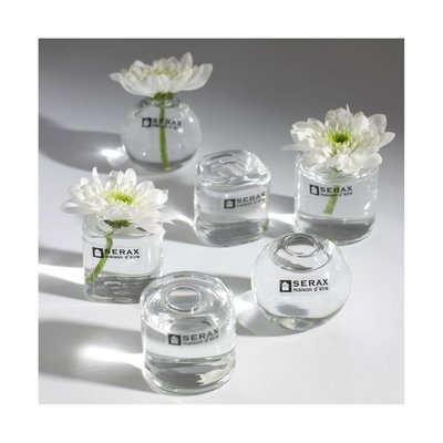6 Mini Vases Soliflores Verre Transparent SERAX