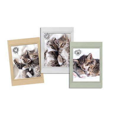 Lot de 3 Torchons Chats choupinou EDEN