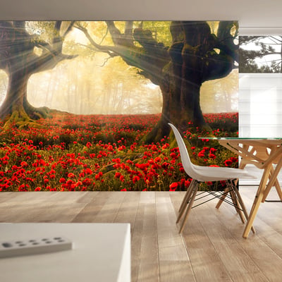 Papier peint intissé panoramique Fleurs Morning among poppies EDEN