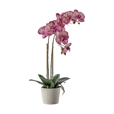50cm Artificial Orchid Pink With Ceramic Pot SO'HOME