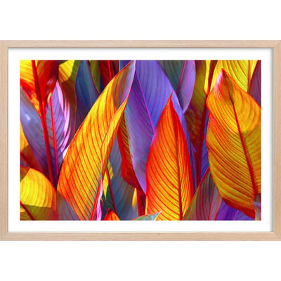 Affiche palm leaves yellow background HEXOA