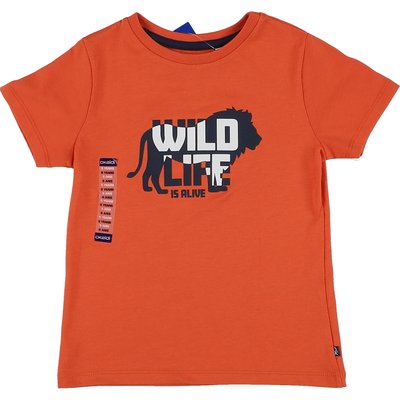 T-shirt - Très bon état OKAIDI