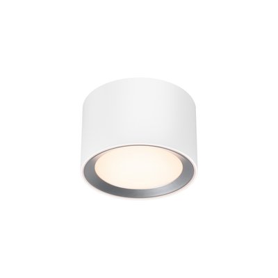 Plafonnier LANDON SMART NORDLUX