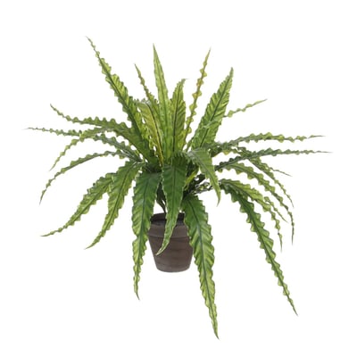 Plante artificielle ASPLENIUM MICA DECORATIONS