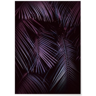 Poster Feuilles de palmier tropical sombre L'AFFICHERIE