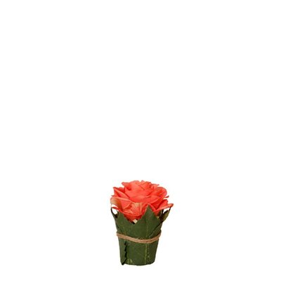 Composition de roses entourée de feuilles artificielles H9 SIA DECO