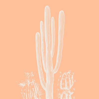 Tableau Mural Cactus Nature NATURE ÉVASION CEANOTHE
