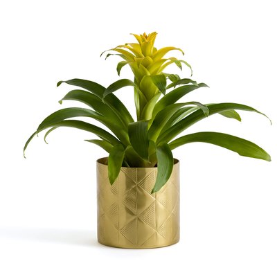 Bloempot in messing Ø14 cm, Erledur LA REDOUTE INTERIEURS