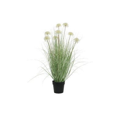 Herbe allium en pot plastique KAEMINGK