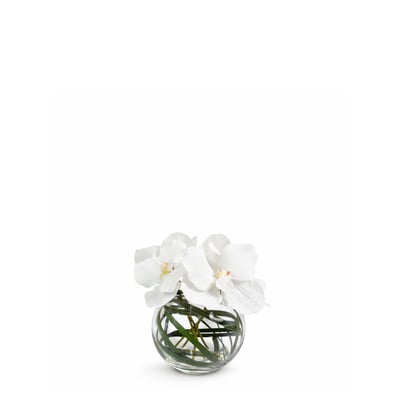 Composition d'orchidée en vase artificielle H20 CHLOE SIA