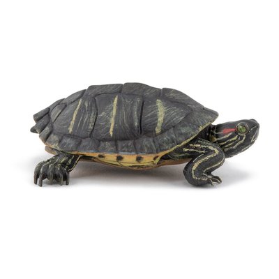 Figurine Tortue de Floride PAPO