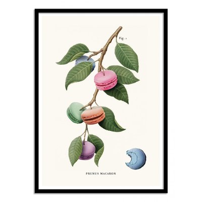 Affiche d’art 30 x 40 cm - Macaron plant - Jonas Loose WALL EDITIONS