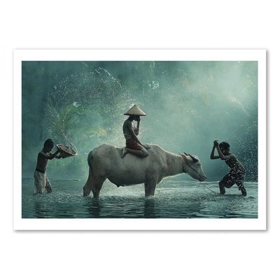 Affiche d’art et cadre noir 30 x 40 cm - Water Buffalo - Vichaya WALL EDITIONS