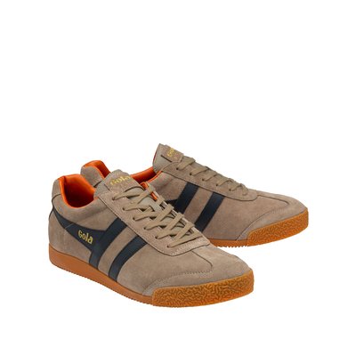 Baskets Harrier GOLA