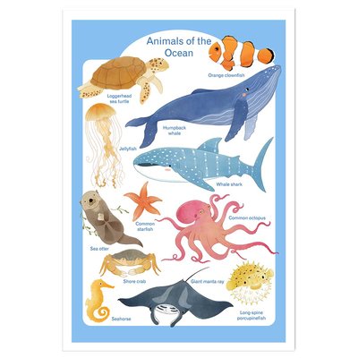 Affiche enfant animaux marins HEXOA