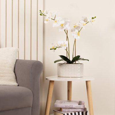 53cm Artificial White Phalaenopsis Orchid in Pot SO'HOME