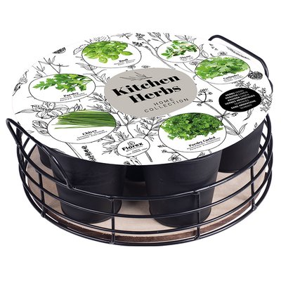 Plateau 6 herbes aromatiques Noir Mat FLOREX