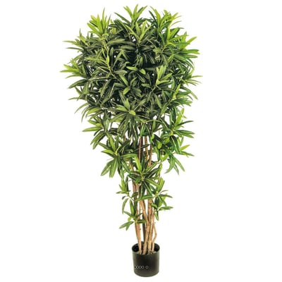 Croton Goldfinger reflexa factice H150 cm 142 ARTIFICIELLES