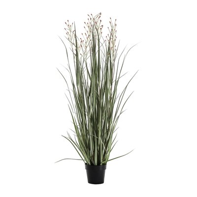 155cm Artificial Potted Grass SO'HOME