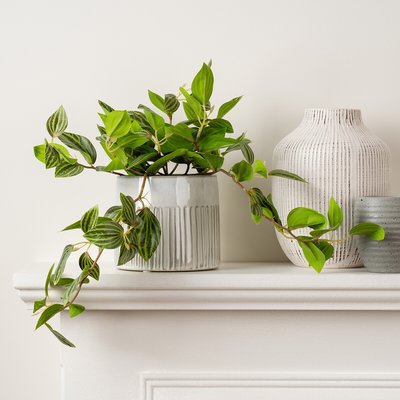 Artificial Trailing Tradescantia Zebrina "Wandering Dude" Plant SO'HOME