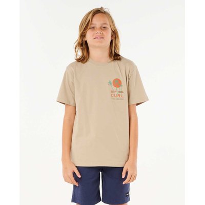 T-Shirt AOTS- CODY WELSH PALMS TEE-BOY RIP CURL