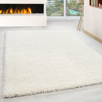 Tapis intérieur à poils longs OTTAWA NAZAR RUGS