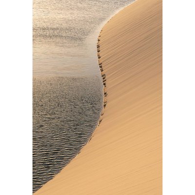 Tableau Mural Dunes De Sable NATURE ÉVASION CEANOTHE